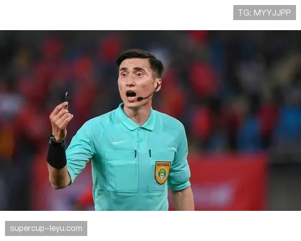 欧洲杯裁判名单公布，新锐裁判助力赛事公平，各队表现引球迷热盼