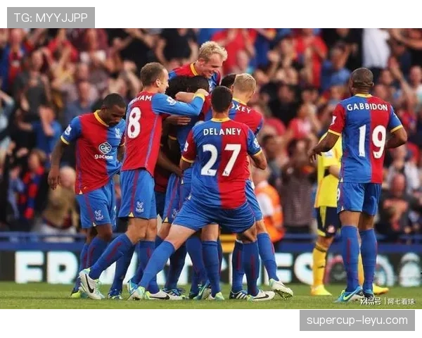 西布朗主场氛围火热，全队全力争胜引关注