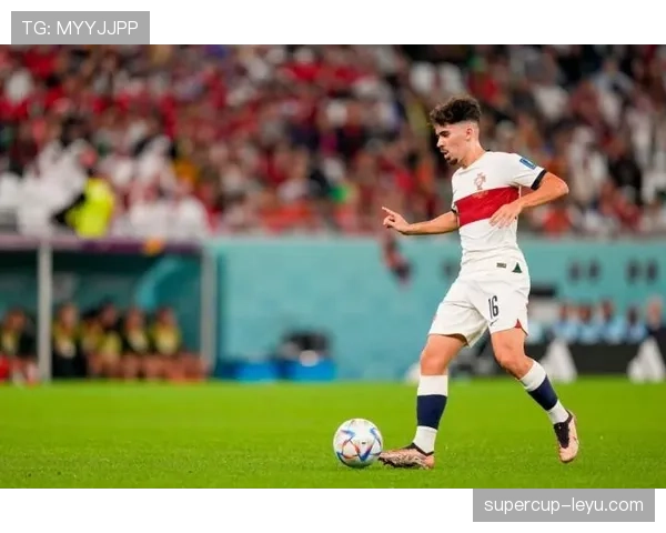 维蒂尼亚战术价值与实际表现差距分析 维蒂尼亚战术价值与实际表现差距分析